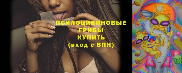 ПСИЛОЦИБИНОВЫЕ ГРИБЫ Нягань