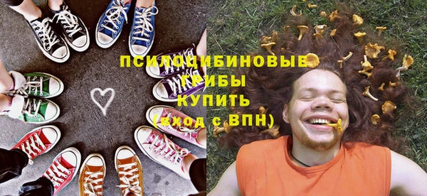 PSILOCYBIN Армянск