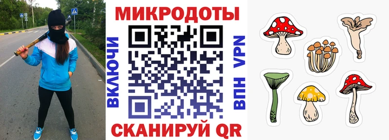 Псилоцибиновые грибы мицелий  Можайск 