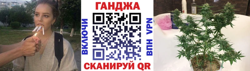 Бошки Шишки планчик  Можайск 